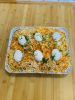 Biryani Xprx