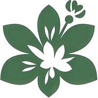 Cilantree