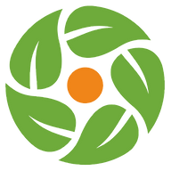 Curry Leaf