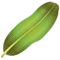 Kalpasi