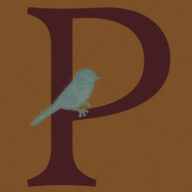 Passerine