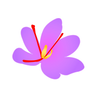 Saffron Patch