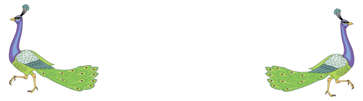 Taste of India II