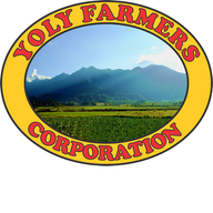Yoly Farmers Corp