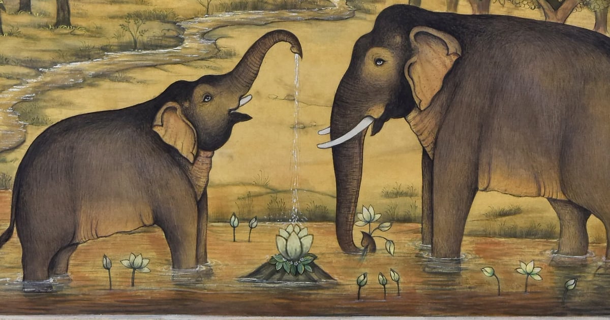 Amaravati Cuisine