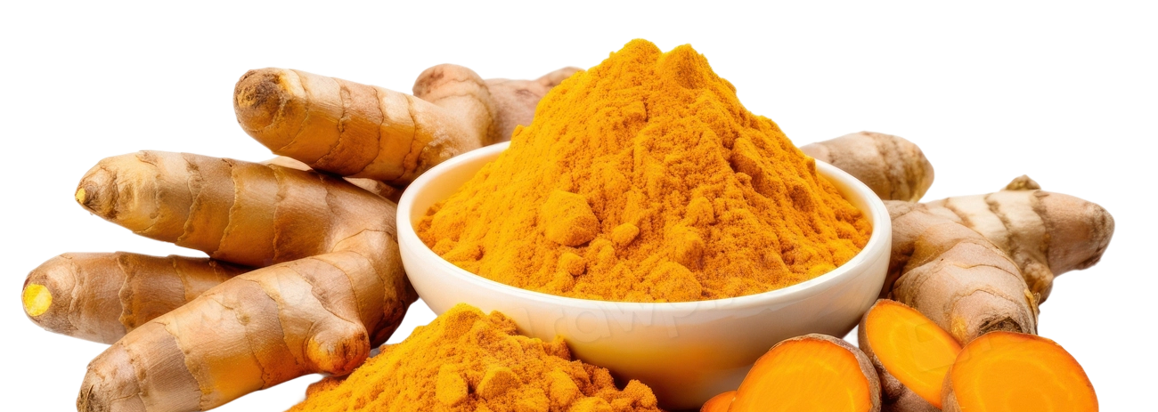 Turmeric Land - Express Indian Kitchen